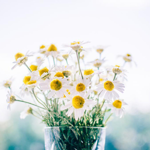 貂蝉被暴❌爽流白浆
